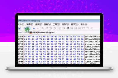 [星力教程] 星力7代华软9代仿大富豪5.2棋牌游戏安卓客户端IP修改教程（第三节）