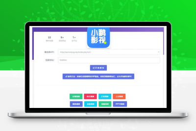 HTML影视VIP视频解析单页源码