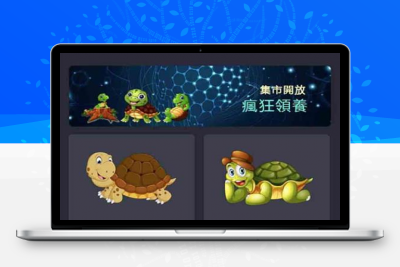 最新版区块链养龟系统源码、养殖区块链、完美运营版本