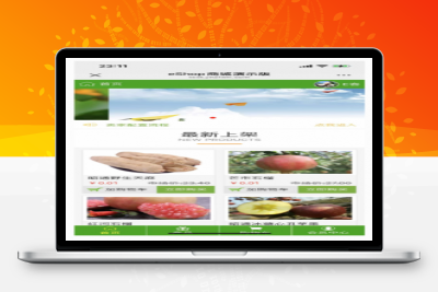 eShop系统