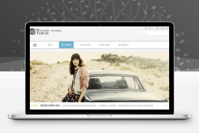 wordpress淡色调百搭主题